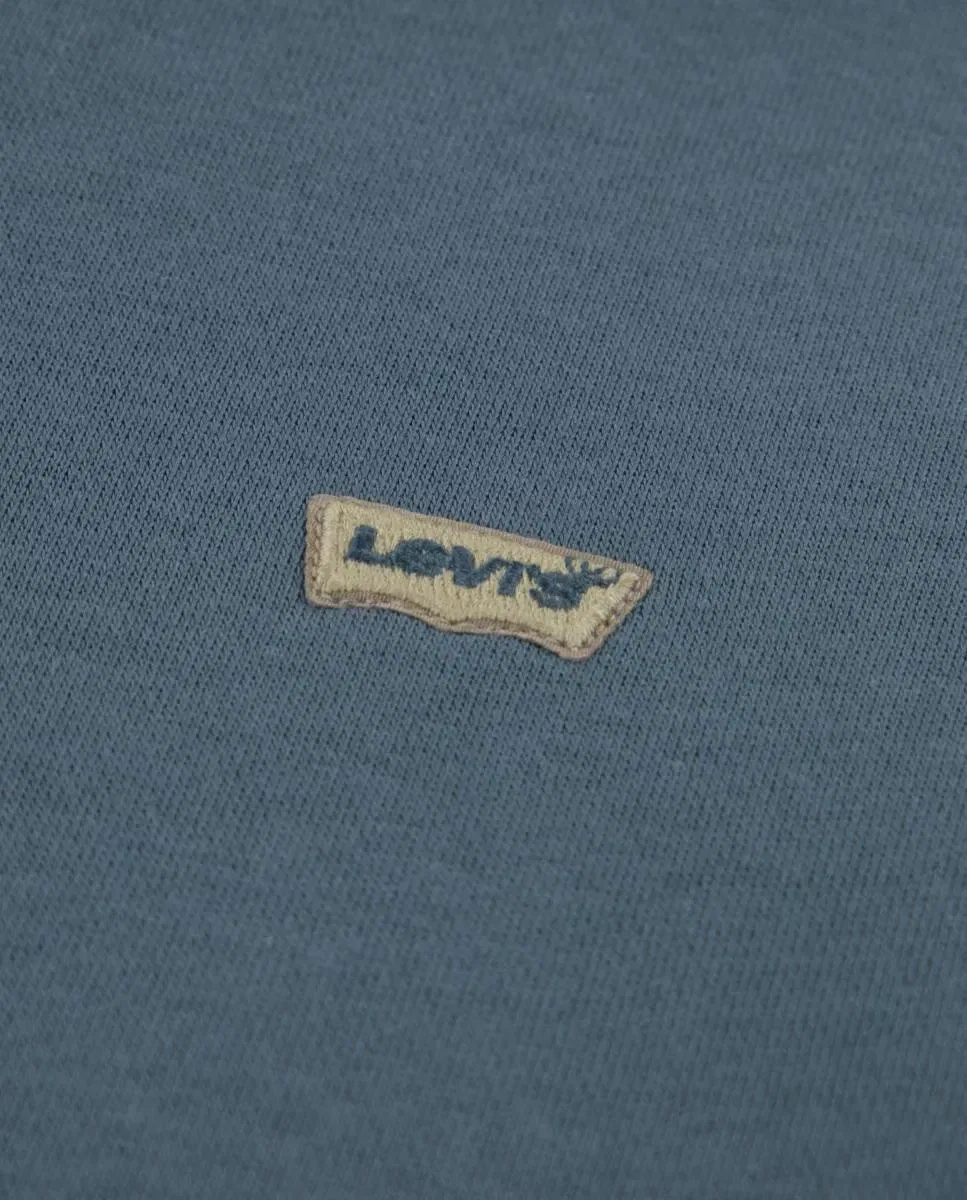 Детская худи для мальчиков с принтом Mini Batwing Levi's, Gris — фото 3