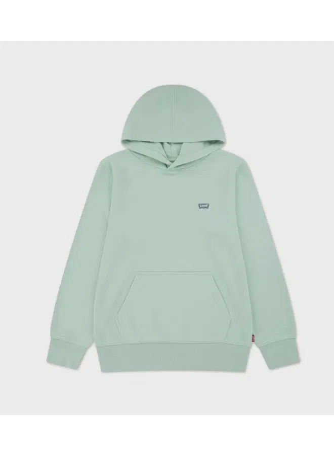 Худи с принтом Lvb mini batwing pull over hoo Levi'S, зеленый