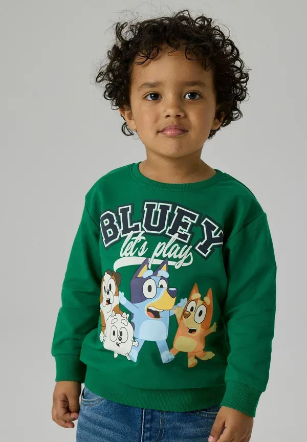Свитшот с принтом Bluey Name It, verdant green1, зеленый