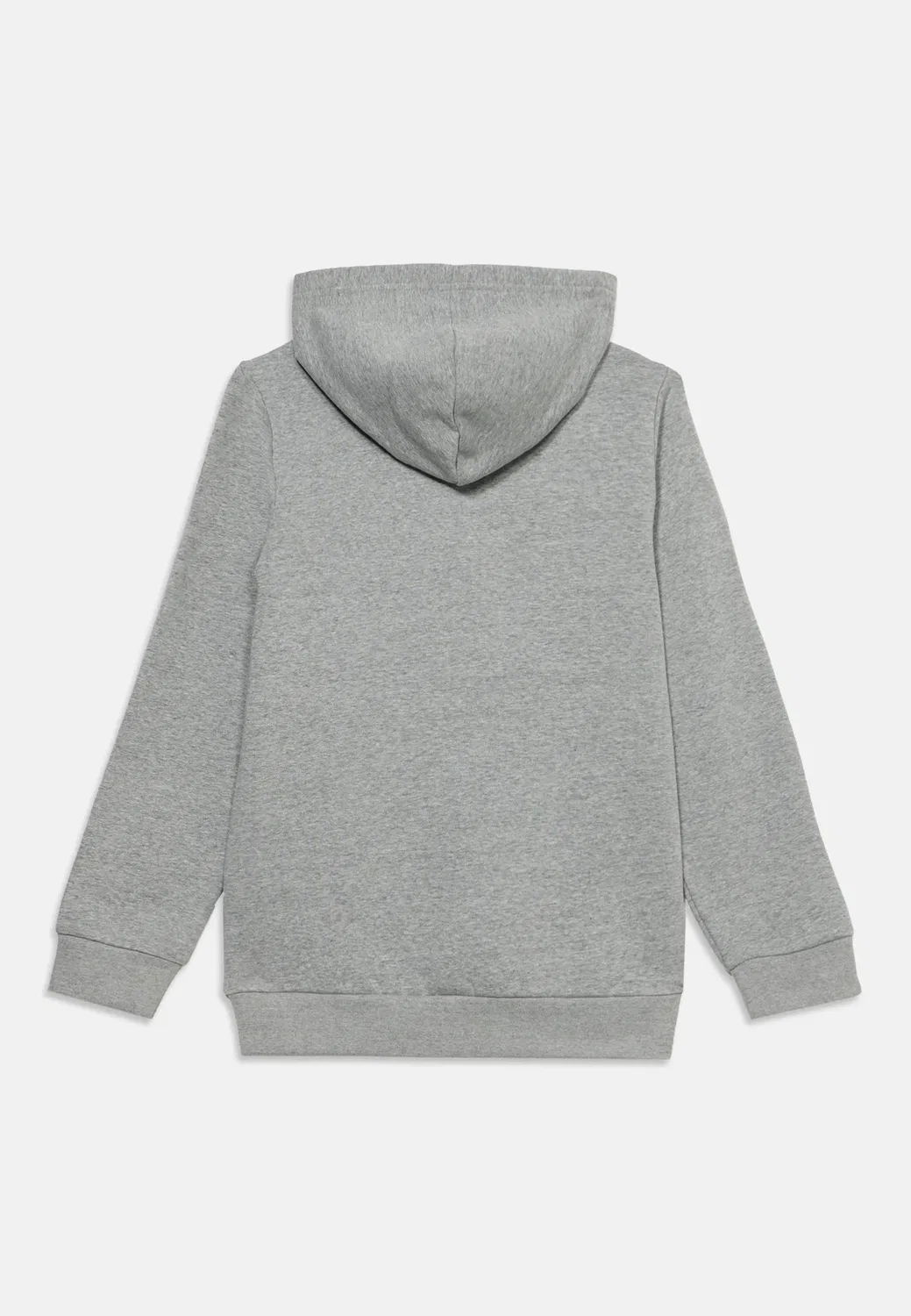 Толстовка унисекс Teen Evolution Simple Dome The North Face, Pale Grey Heather — фото 2