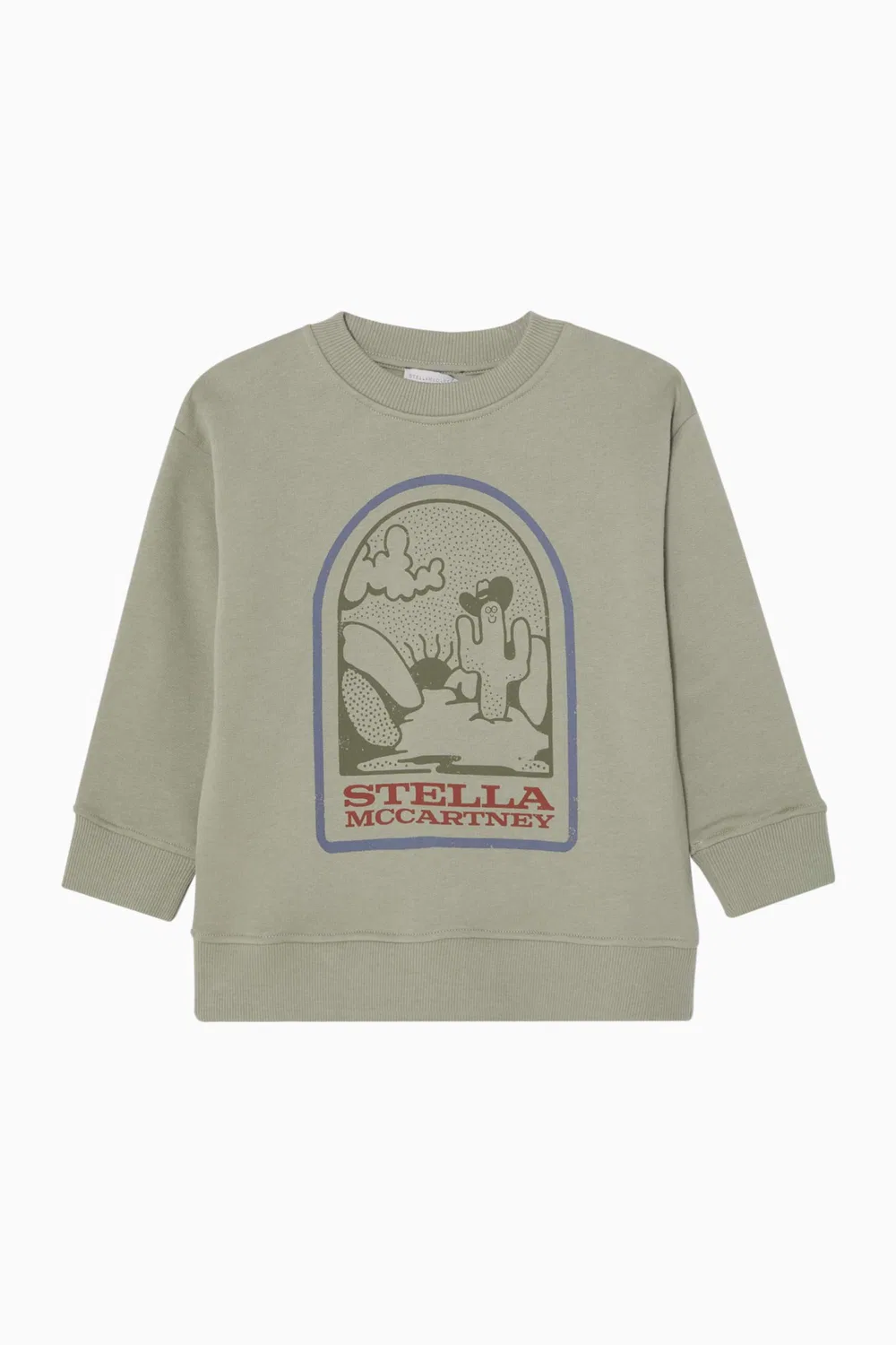 Свитшот с принтом Desert Graphics Stella McCartney