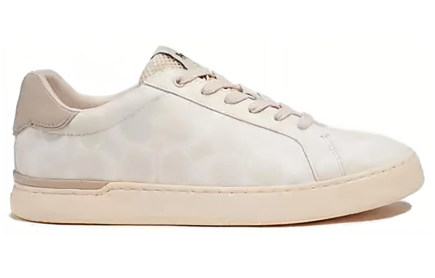 Кроссовки для скейтбординга Clip Canvas Low top мужские Chalk COACH, Original Shoe Box Included — фото 3