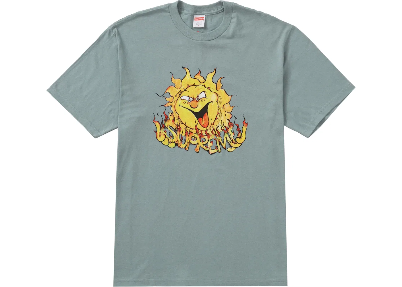 Мужская футболка с принтом Supreme Tee, Dark Sage