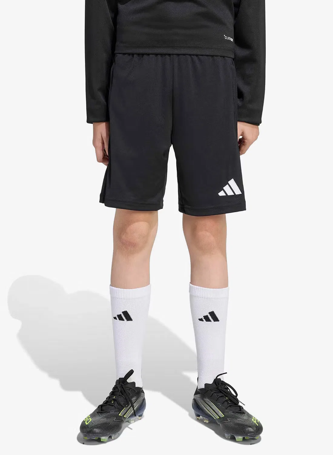 Шорты тренировочные с технологией Climacool Entrada 26 Adidas, черный — фото 3