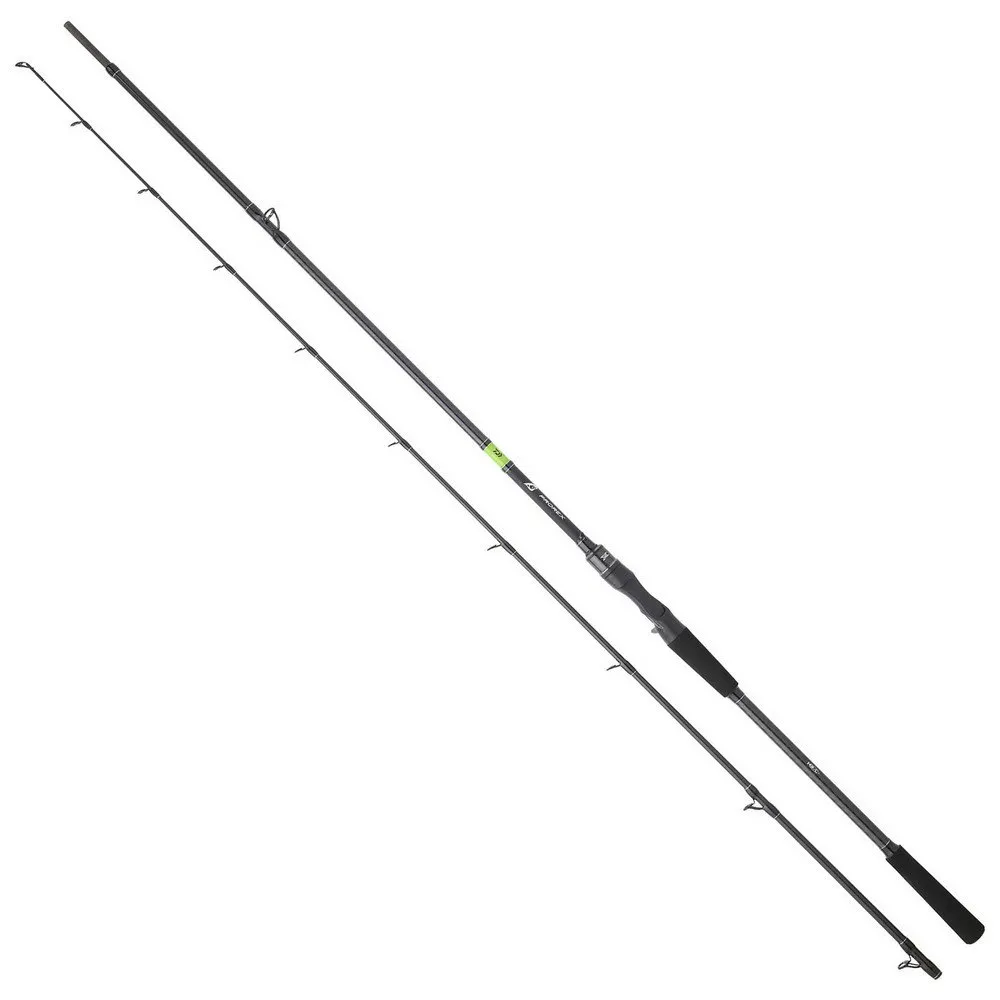 

Спиннинговое удилище Daiwa Prorex E Pike Distance II, серебряный