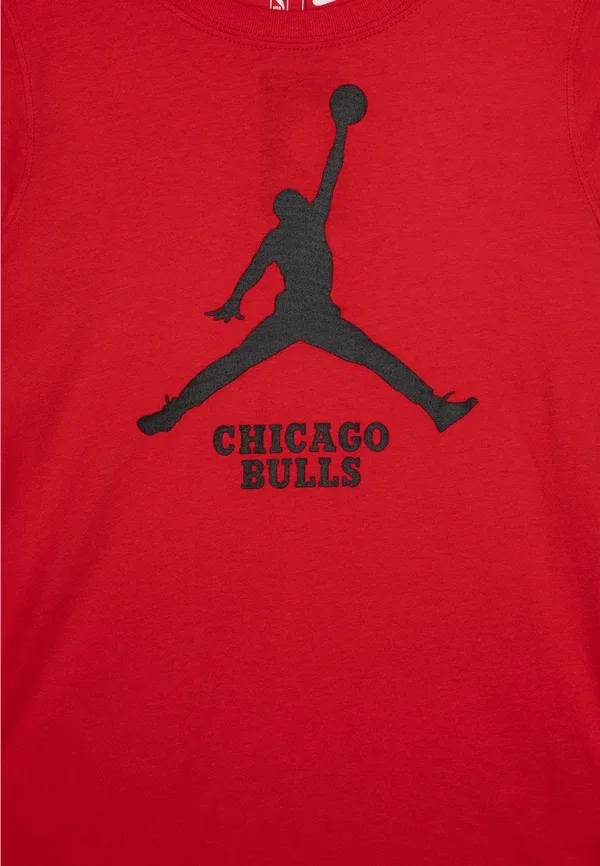 Футболка с принтом Chicago Bulls Essential Jordan Nike Performance, Red, красный — фото 3