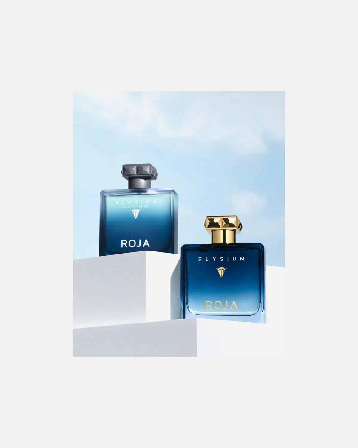 Парфюмерная вода Elysium для мужчин Roja London, 100 Ml — фото 3