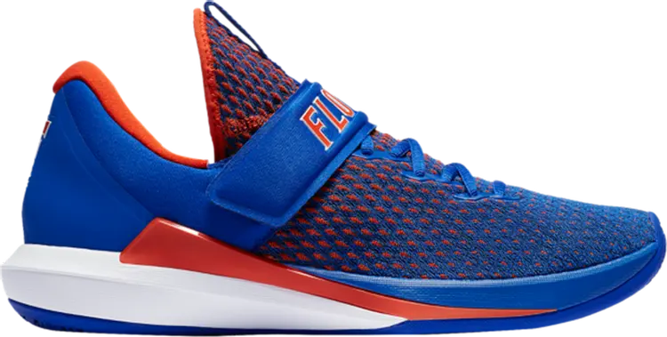 

Кроссовки Jordan Trainer 3 Florida Gators, синий