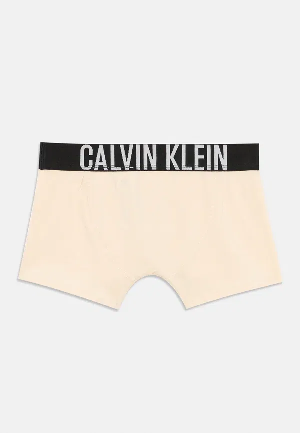Комплект из 3 боксерских трусов Calvin Klein Underwear, мультиколор — фото 2