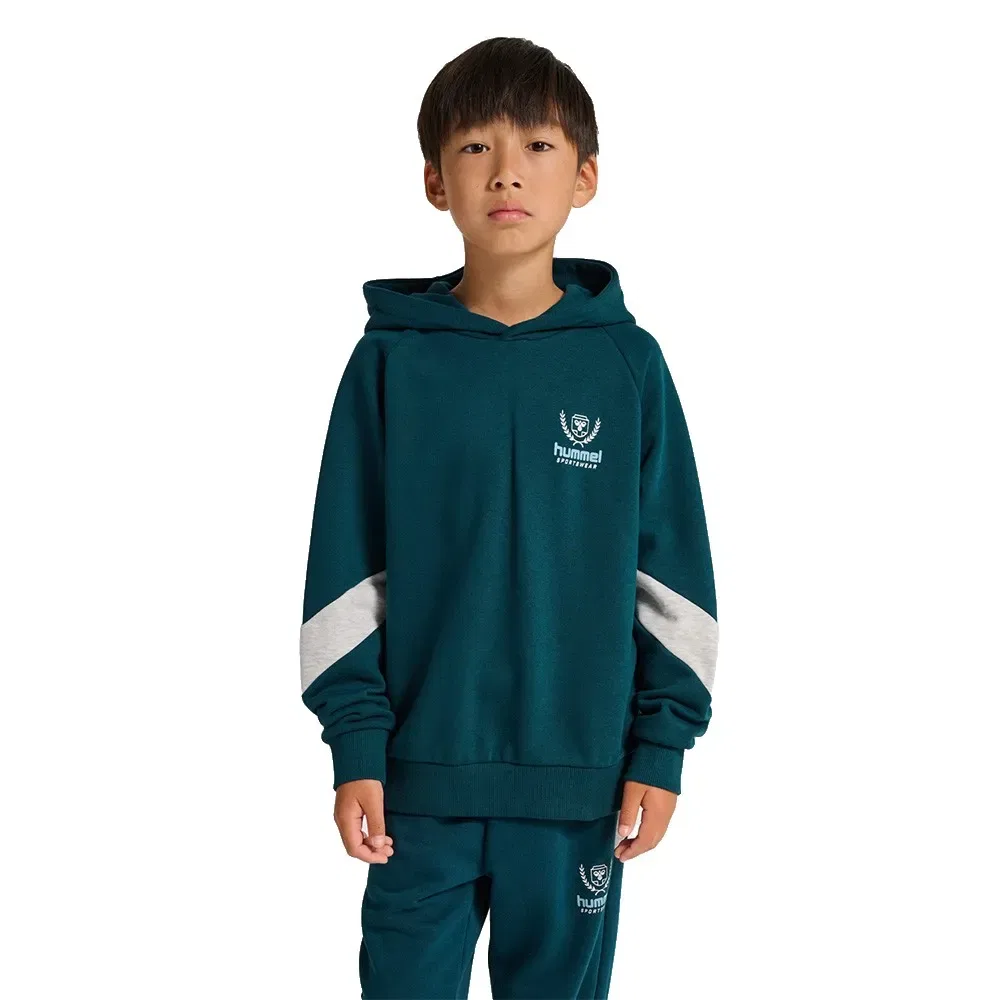 Худи свободного кроя Loose BTS Hummel, синий
