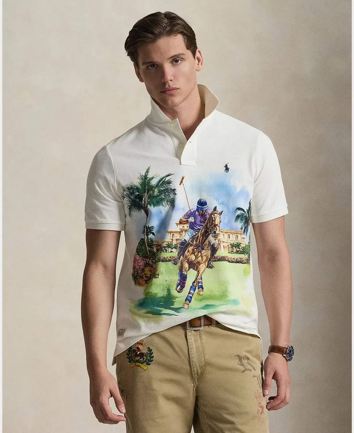 Мужское поло с принтом Multicolor Polo Ralph Lauren