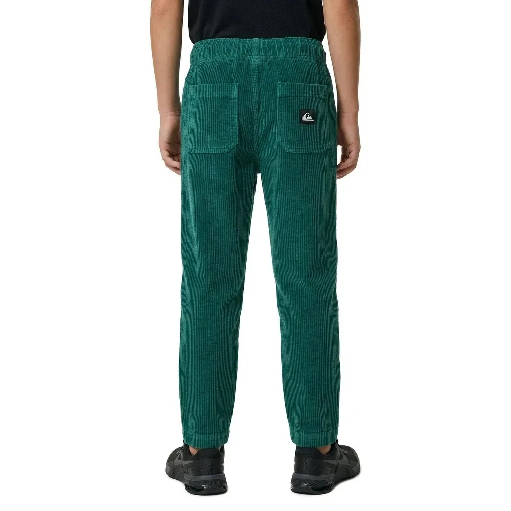 Детские брюки для мальчиков из вельвета Quiksilver, Green — фото 2