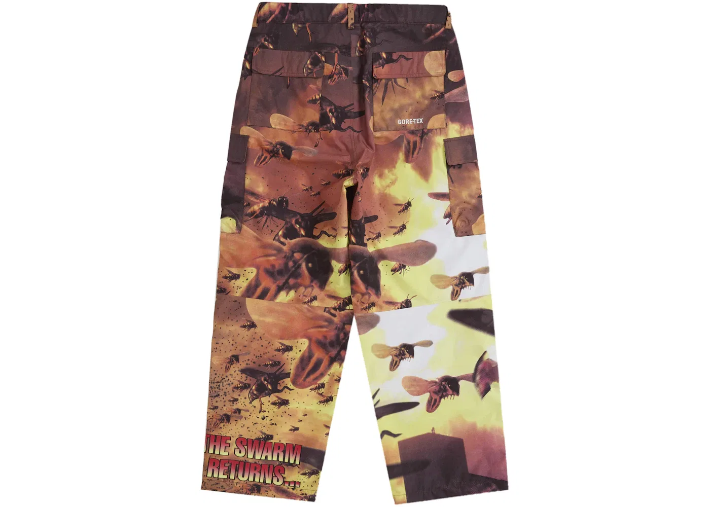Мужские брюки карго с мембраной GORE-TEX Supreme, Multicolor — фото 2