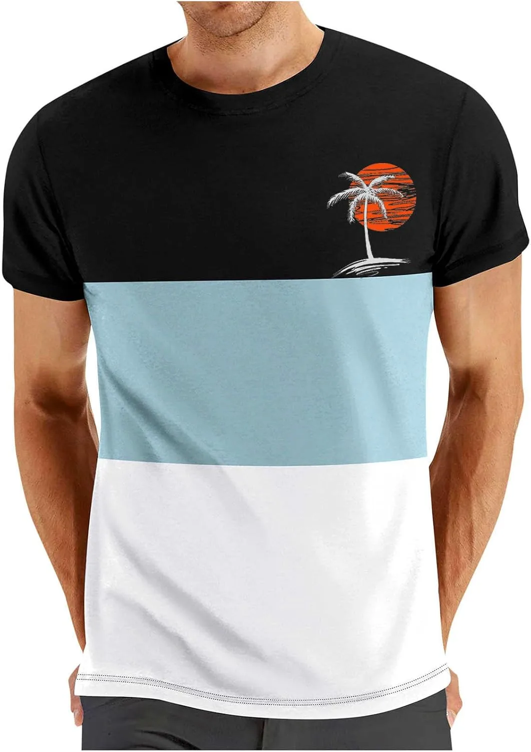 

Мужская футболка с принтом Coconut Palm, цветной блок, короткий рукав, Regular Fit