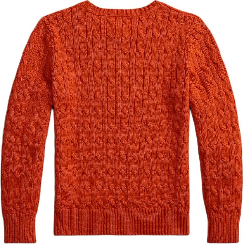 Детский свитшот с круглым вырезом Preppy Orange Polo Ralph Lauren — фото 3