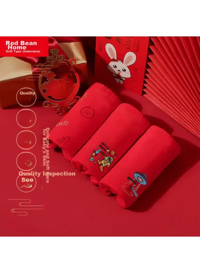 Шорты праздничные комплект трусов детских 311 Hodo Home