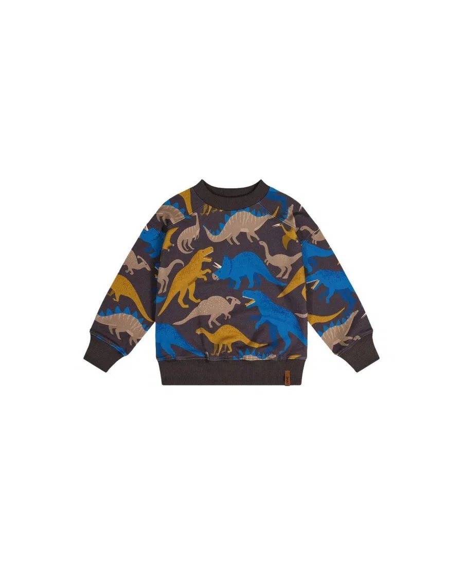 Детский свитшот из флиса с принтом динозавров Deux par Deux, Grey Dinosaur Print