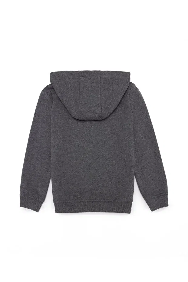 Детская толстовка для мальчиков с принтом U.S. Polo Assn., Gray — фото 2