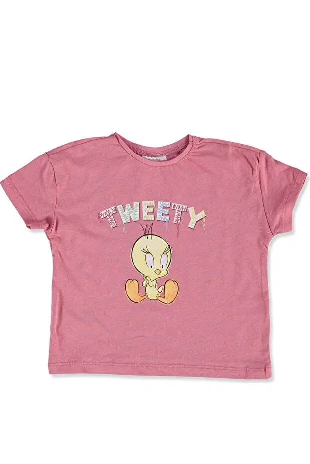 Детская футболка для девочек с принтом Moving on to adventure tweety baby girl licensed tshirt Looney Tunes, Pink
