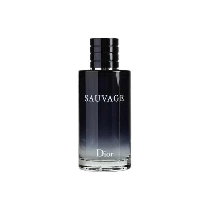 Мужская туалетная вода Dior Sauvage Elixir, 200 мл, Wilderness Light, DIOR