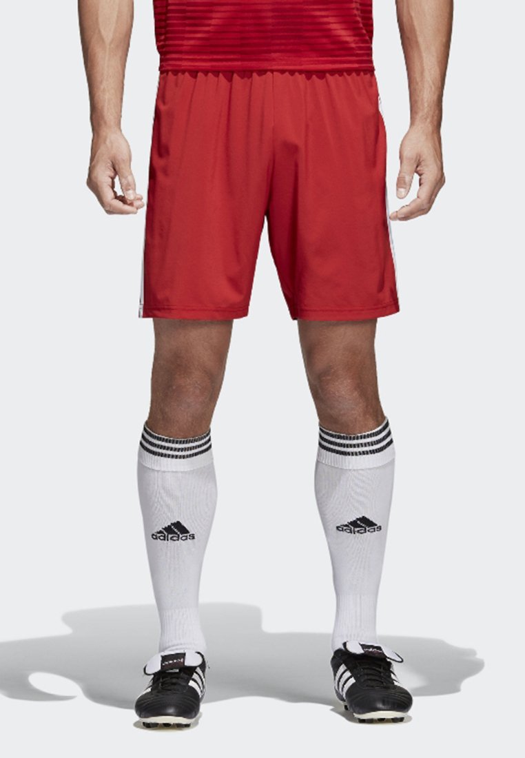 

Спортивные шорты CONDIVO 18 SHORTS Adidas Performance, красный
