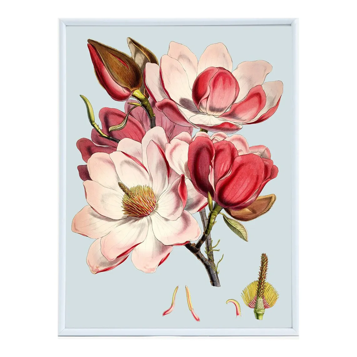 

Lam Peonies Flowers PSTR Studio Print + Frame - El Corte Inglés