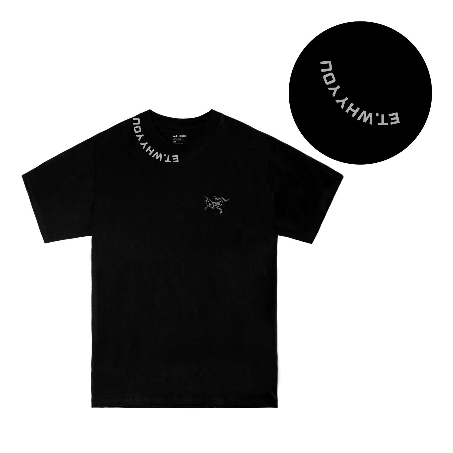 Футболка с принтом, Crew Neck, Arcteryx, Box — фото 4