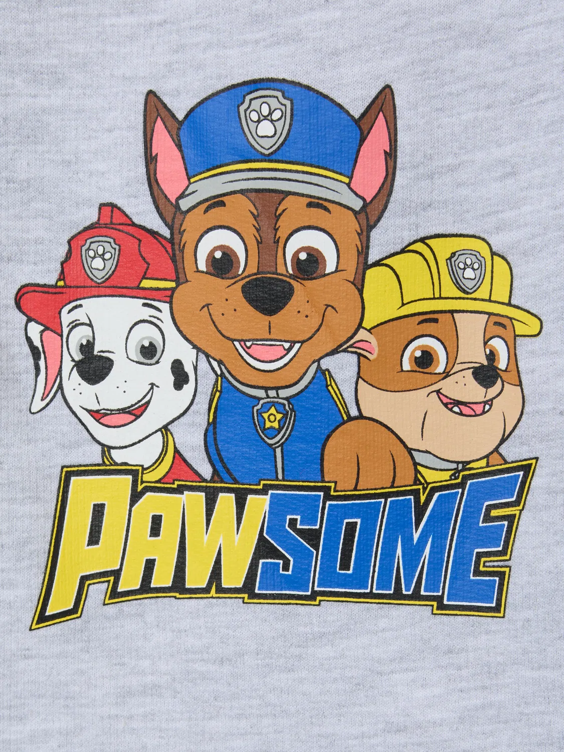 Детские шорты с героями PAW Patrol, серый — фото 3