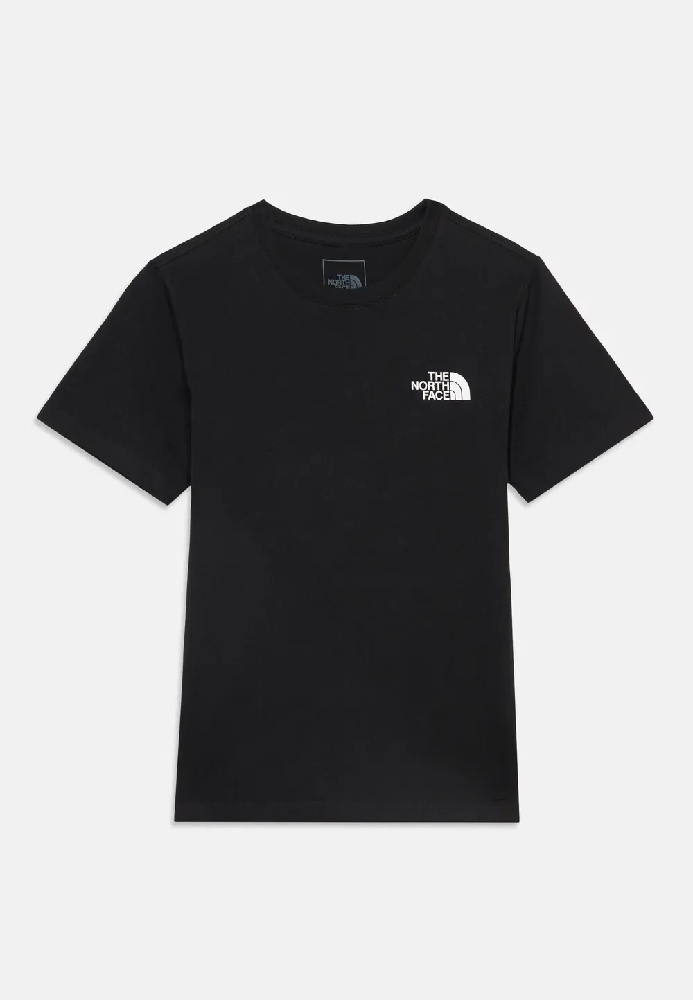 Футболка унисекс с принтом Teen Evolution Box Tee The North Face, Black