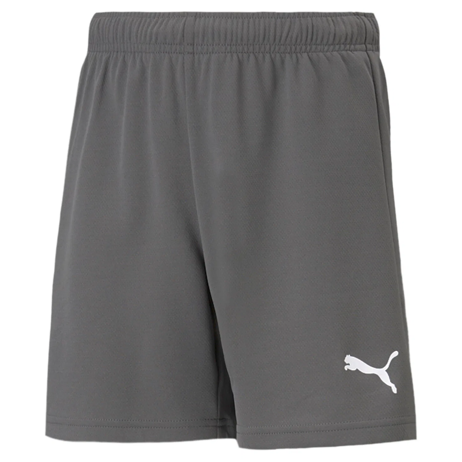 Детские шорты с длиной до колена Puma teamRISE Short Jr, Grau Weiss