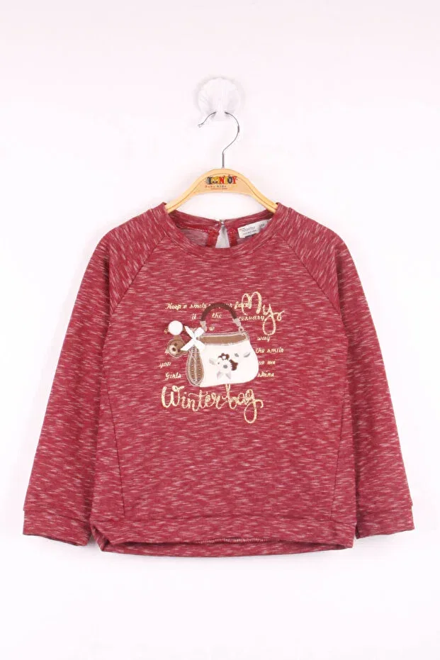 Детские свитшот для девочек с принтом Girl - embroidered sweatshirt and bag set Toontoy, Burgundy