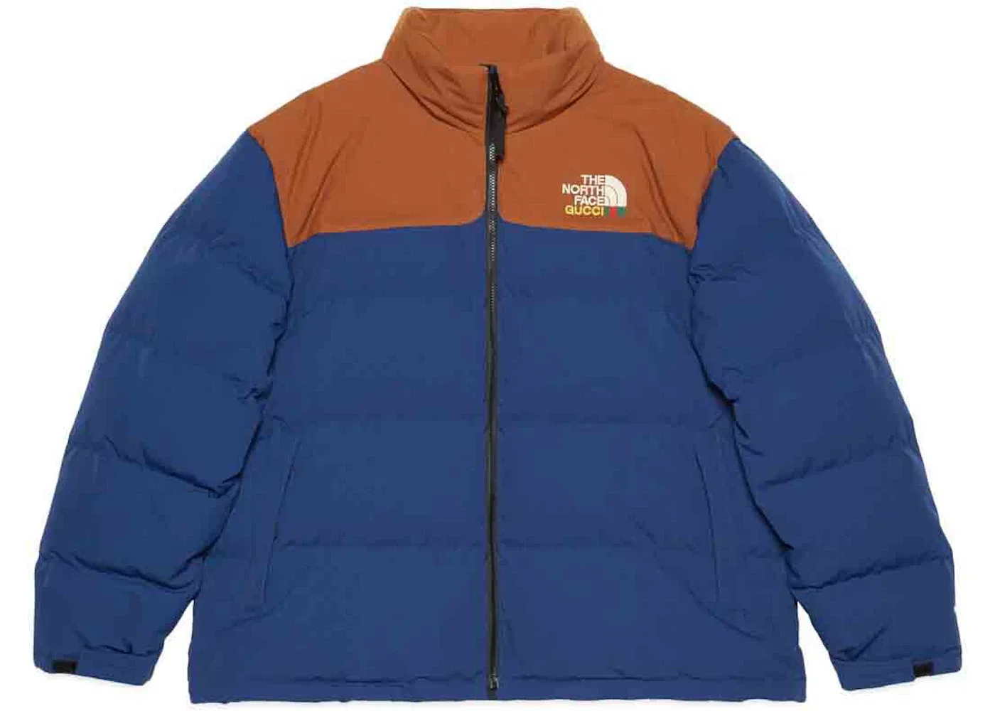 Мужская куртка пуховая с принтом The North Face x Gucci Jacket, Blue/Brown