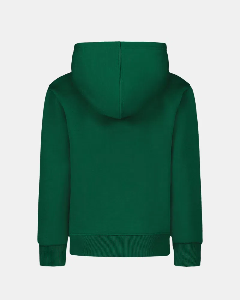 Худи из мягкого хлопкового флиса с логотипом из шенили UA Chenille Logo UnderArmour, Campus Ivy/Stone — фото 3