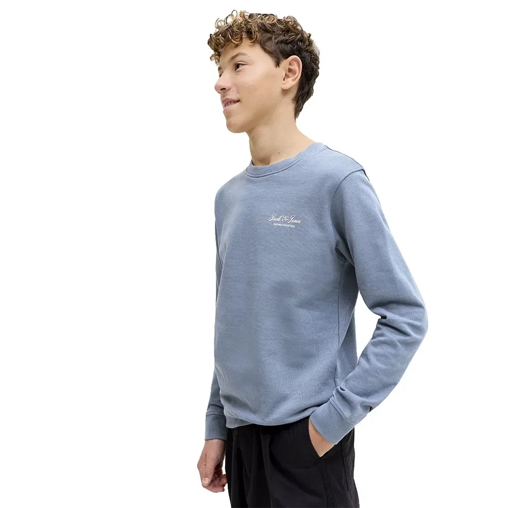 Свитшот Graphic Jack & Jones, синий — фото 4