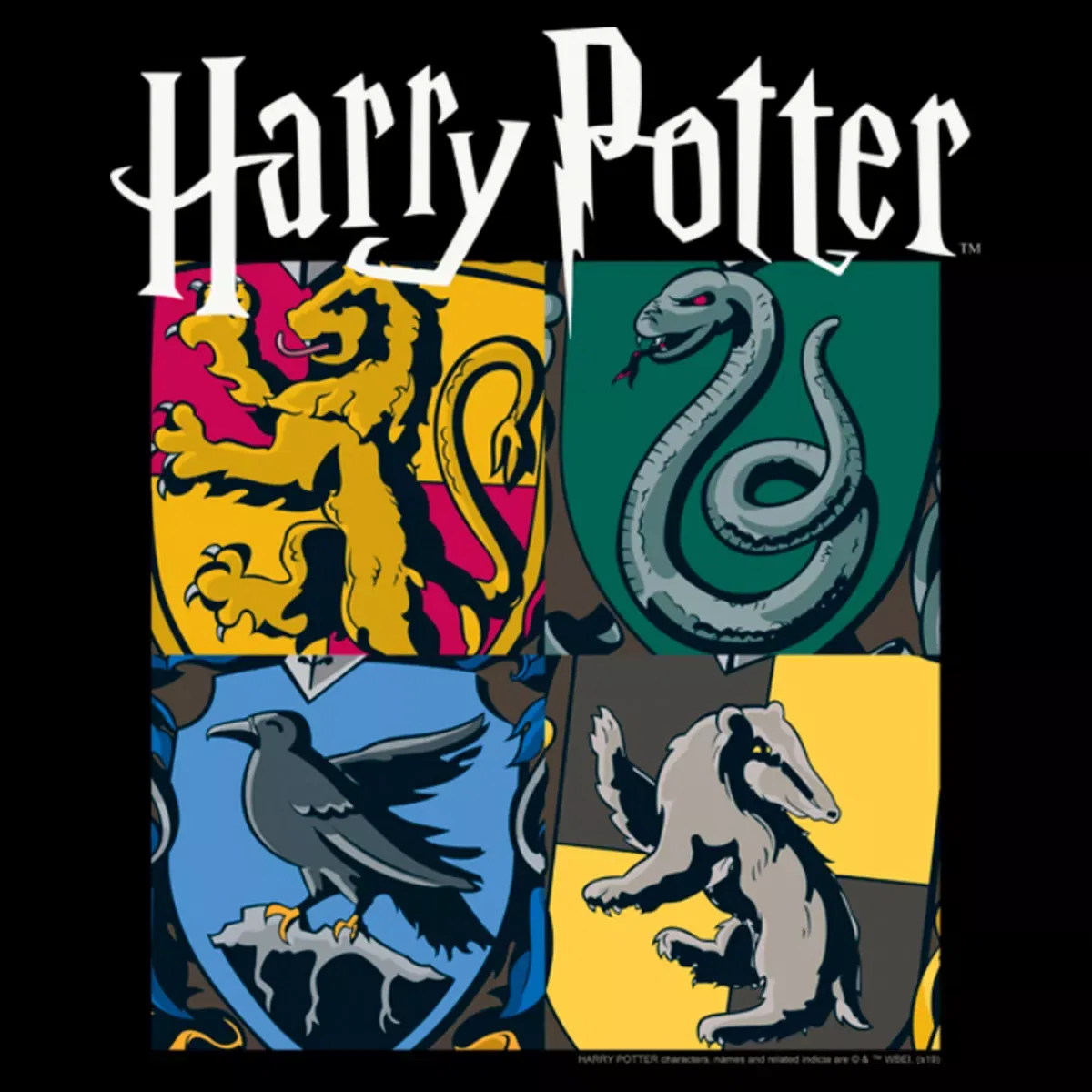 Детское худи для мальчиков с принтом Harry Potter Hogwarts Houses Vintage Collage Pull Over Hoodie Harry Potter, Black — фото 2