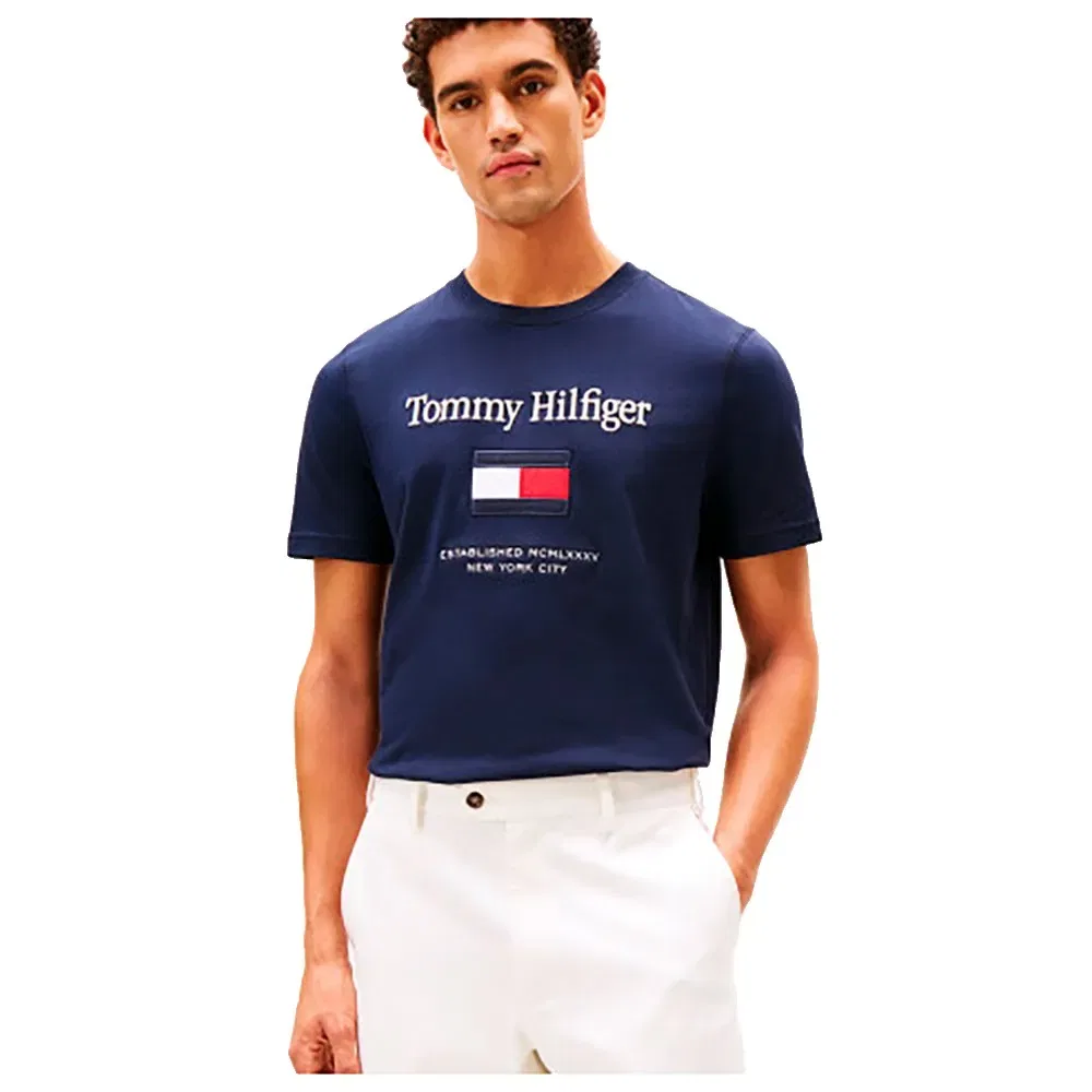 Мужская футболка с вышивкой Embroidery Flag Tommy hilfiger, Blue