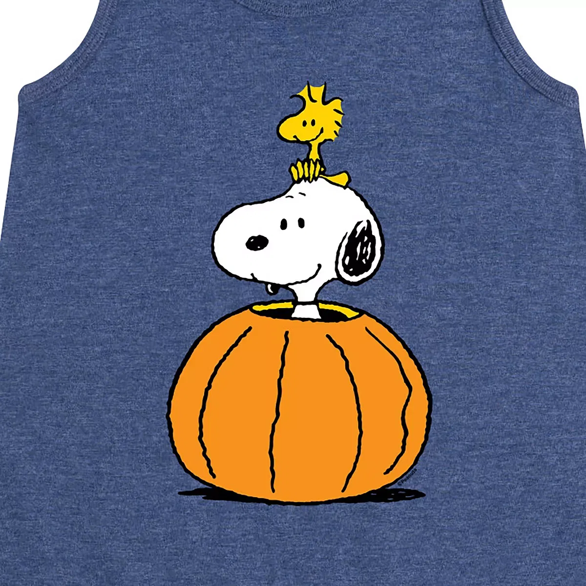 Детское платье-трапеция без рукавов Snoopy Woodstock Pumpkin Peanuts, Heather Navy — фото 2
