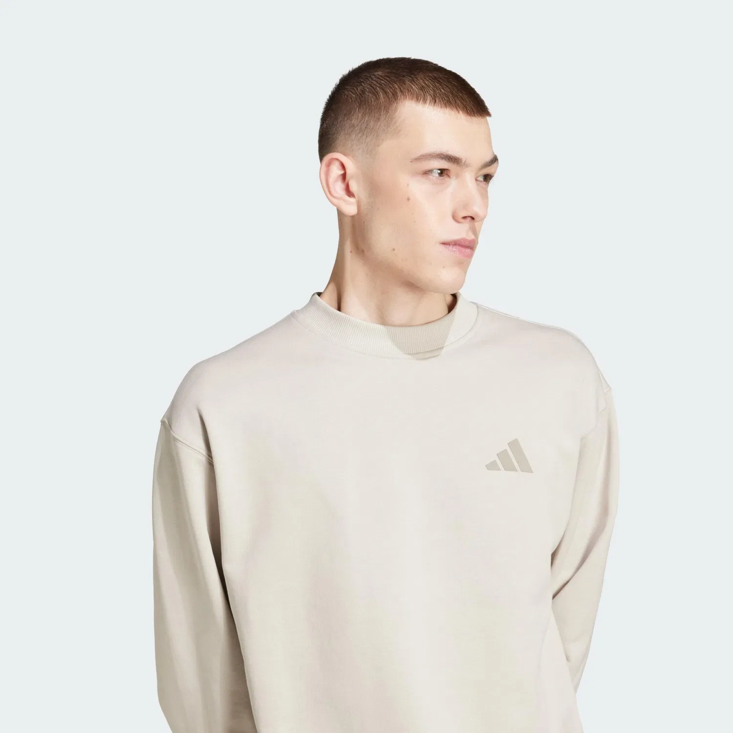 Мужской свитшот с длинным рукавом MERCEDES-AMG PETRONAS FORMULA ONE TEAM PREMIUM SWEATSHIRT Adidas, Beige — фото 4