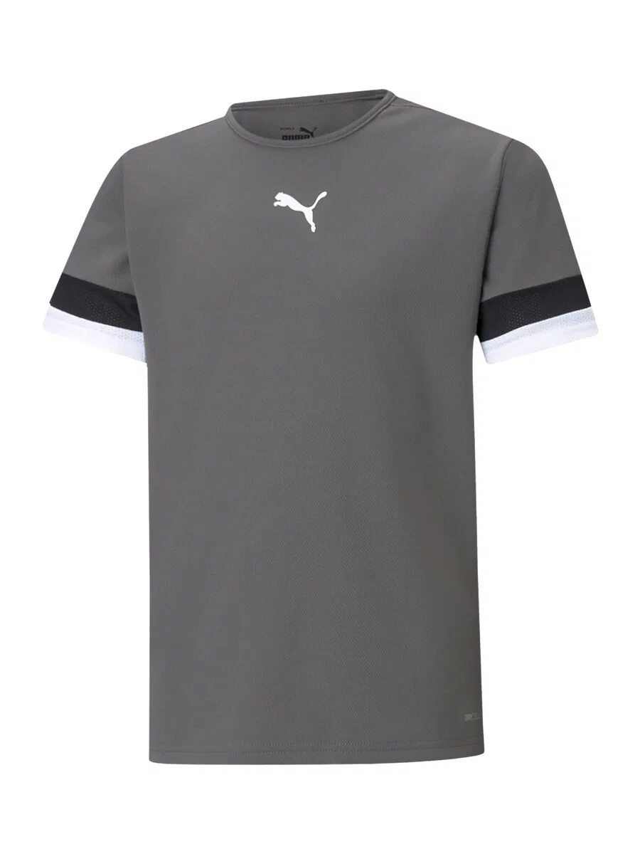 Футболка PUMA Performance Shirt 'TeamRise' темно-серого цвета