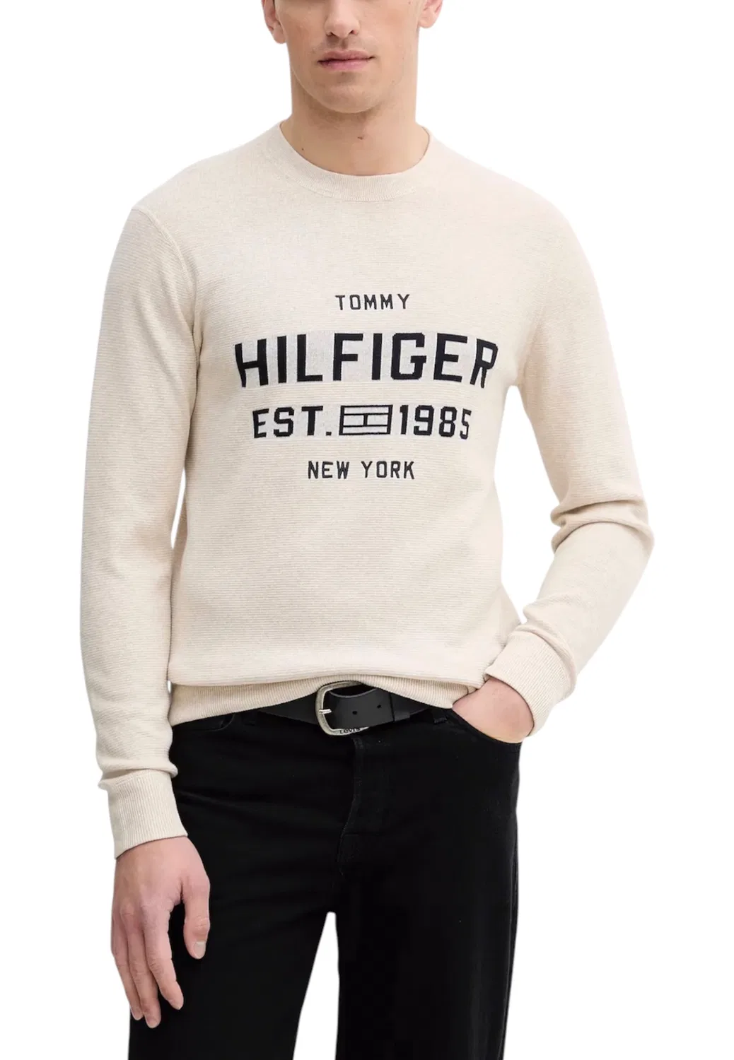 Мужской свитер с принтом Tommy Hilfiger, Beige