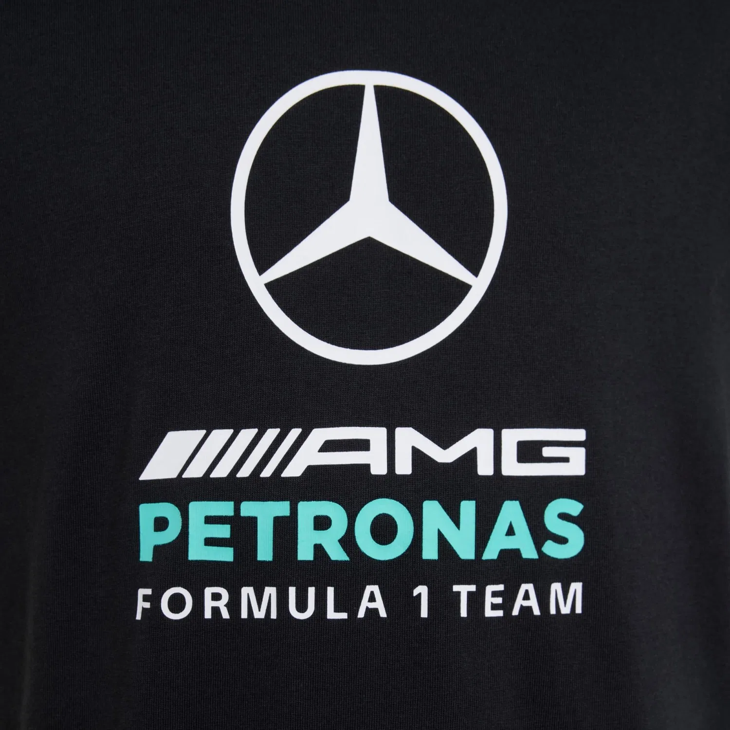 Детская футболка с принтом MERCEDES - AMG PETRONAS FORMULA 1 TEAM DNA GRAFIK T-SHIRT Adidas, Schwarz — фото 2