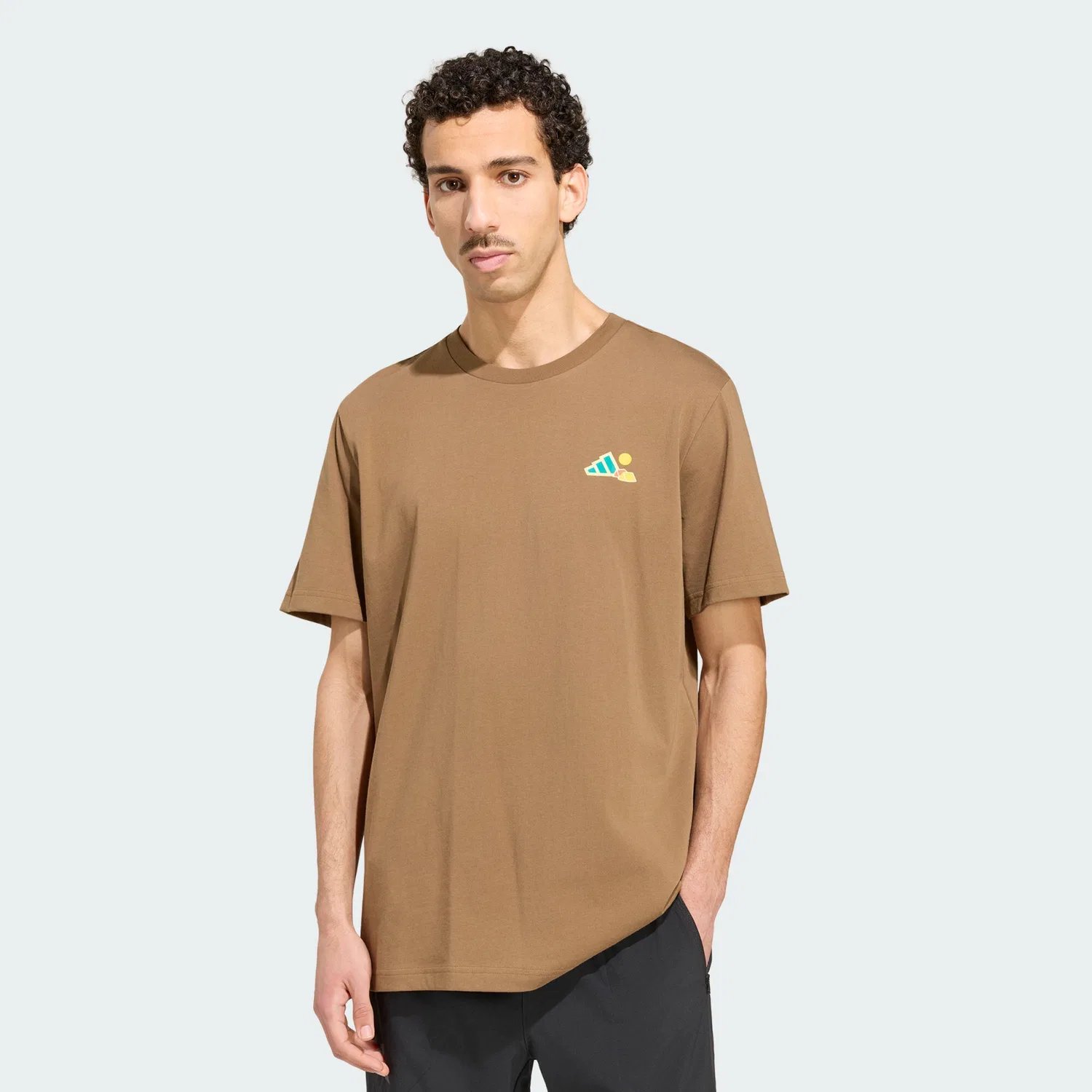 Мужская футболка с графическим принтом Terrex Camper Grafik T-Shirt Adidas, Green