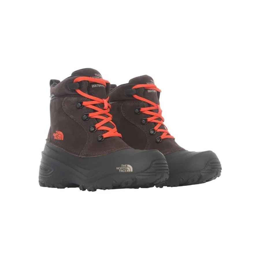 Детские ботинки с защитой от влаги и снега Youth Chilkat Lace 2 The North Face, Коричневый — фото 2