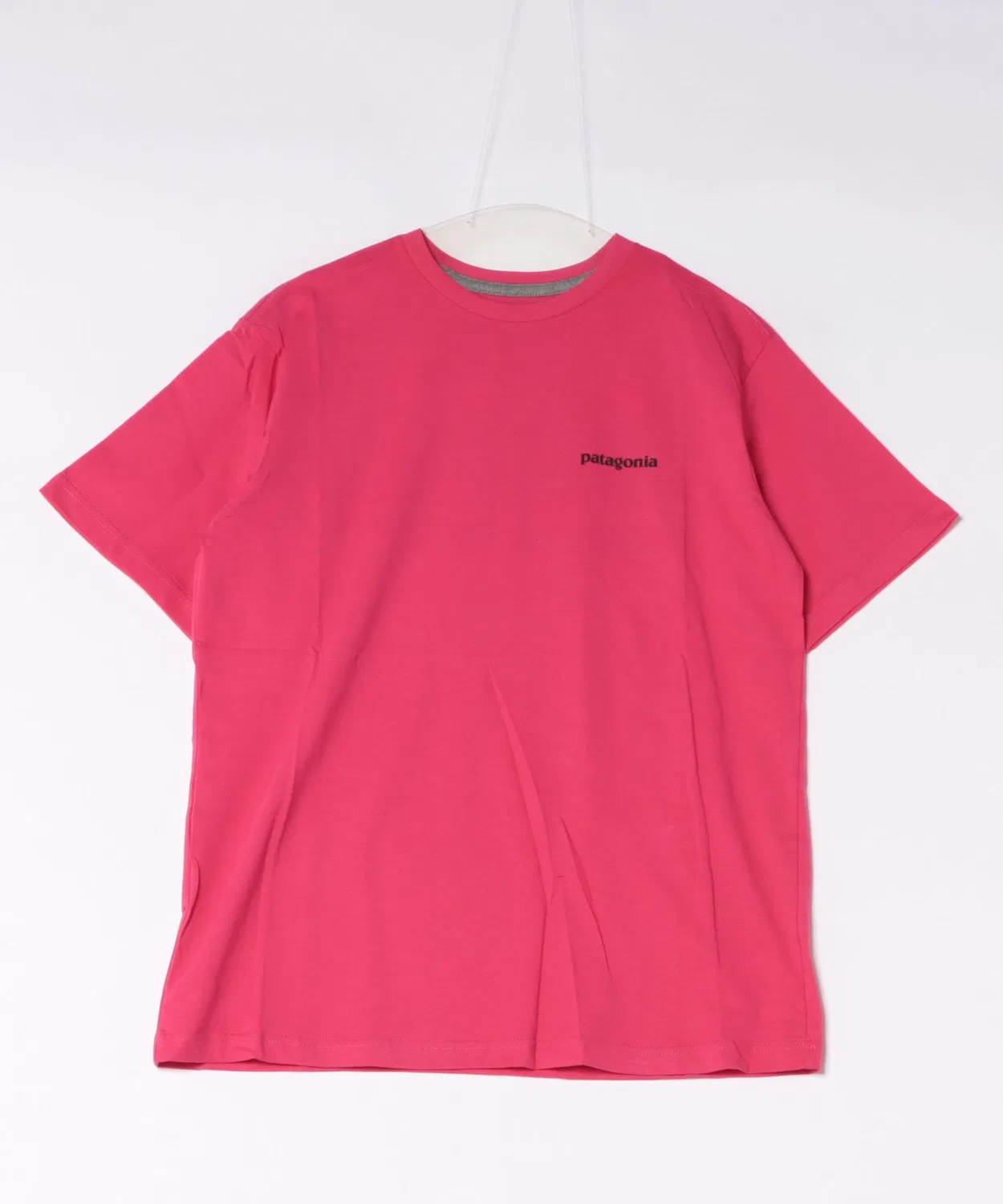 Мужская футболка с принтом Basic Logo TEE Patagonia, Red