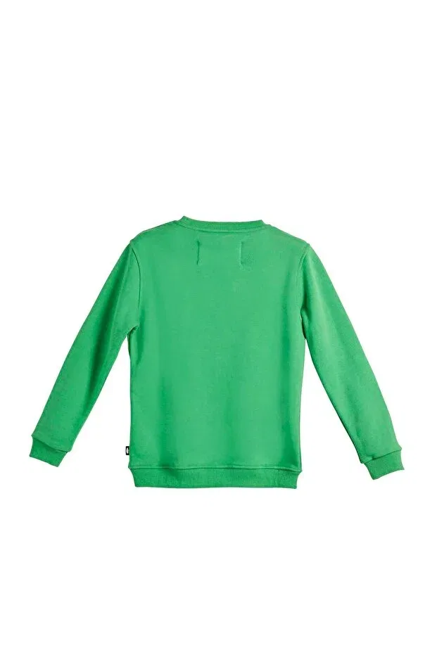 Детское для девочек свитшот с принтом Rabel crewneck Bad Bear, Green — фото 3