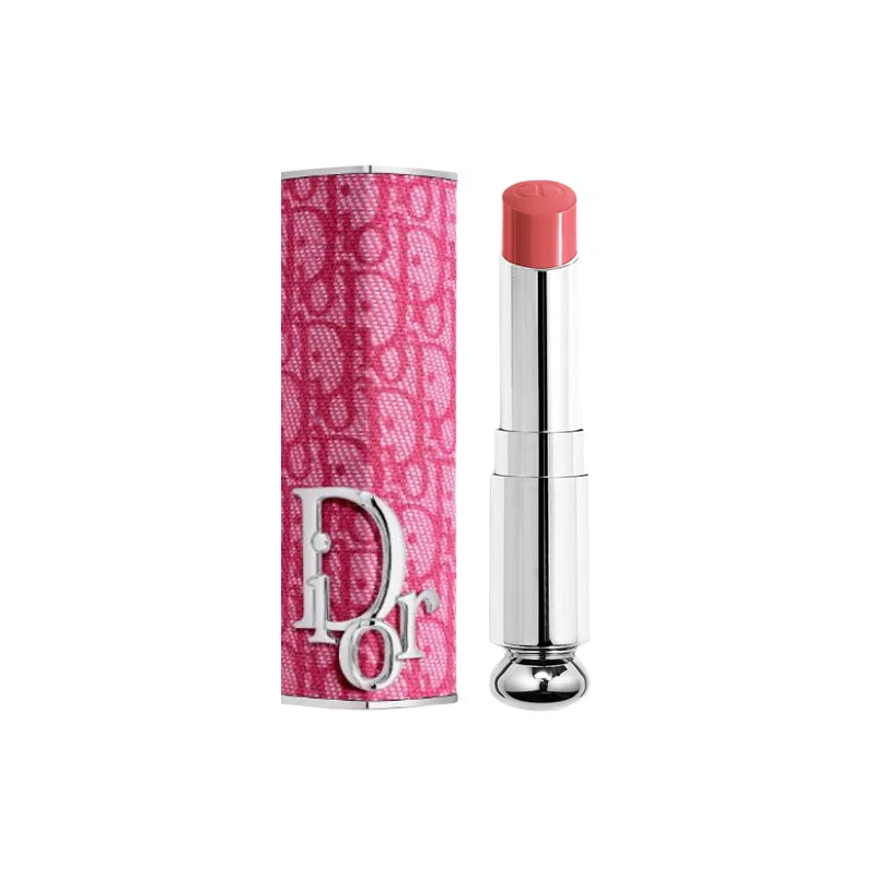 Женский набор помад Classic Fuchsia Print Lipstick Case+Enchanting Lipstick Refill #380 Pink D-Sire, DIOR, Pink