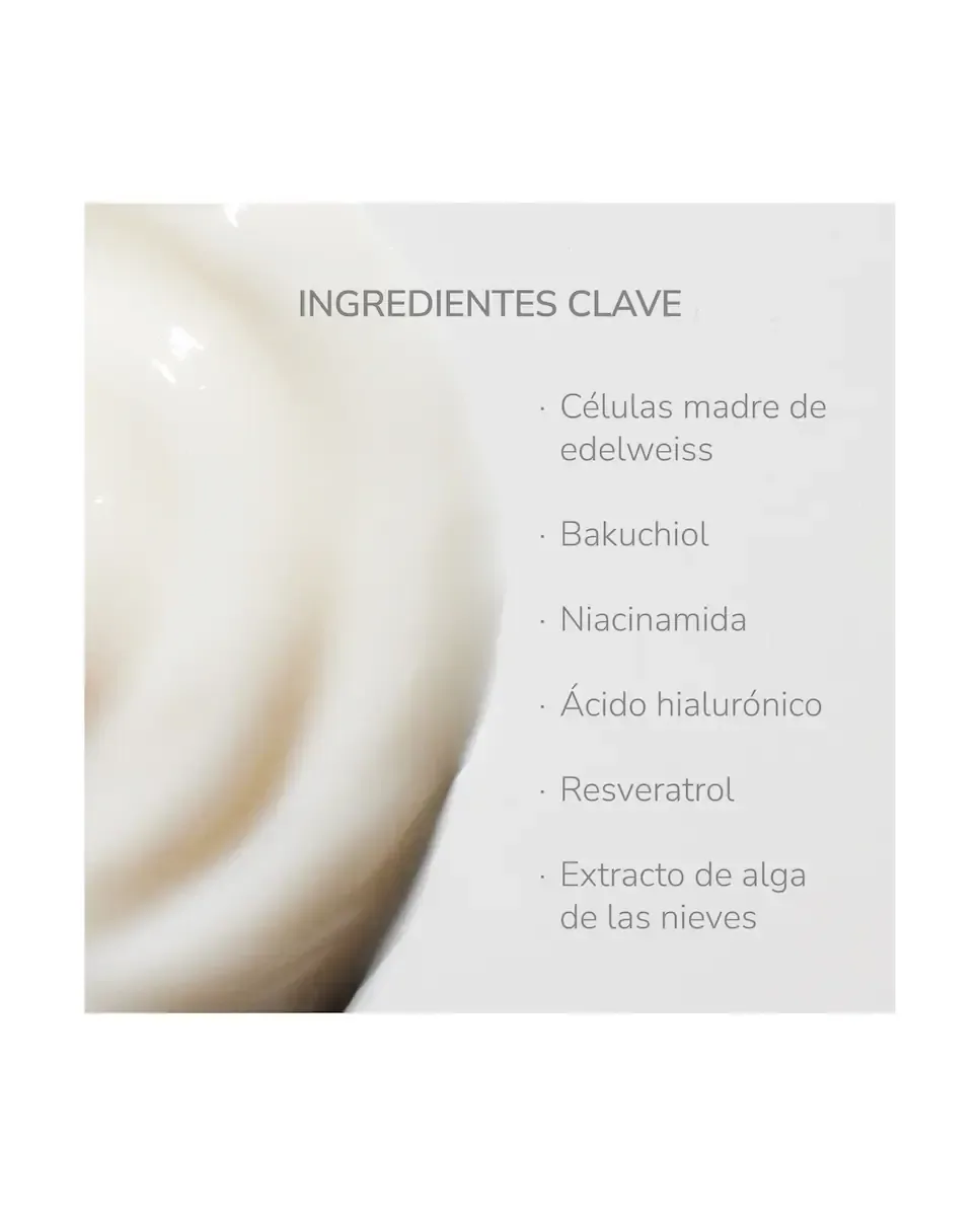 Крем для лица Nieves By Nieves Álvarez — Укрепляющий Absolute Lift Cream, 50 мл — фото 3