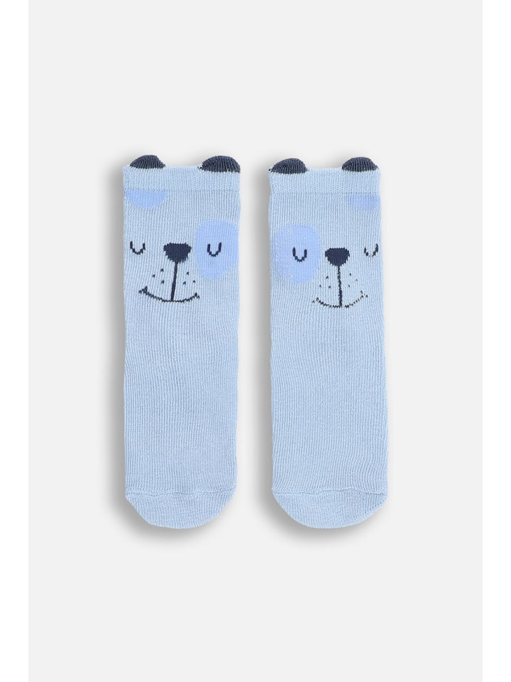 

Coccodrillo Разноцветные носки