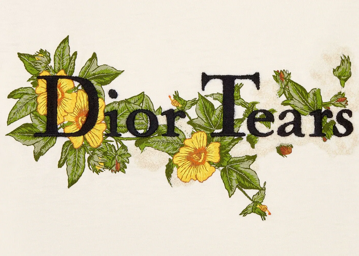 Мужская футболка с принтом Dior Tears T-Shirt Dior, White — фото 2