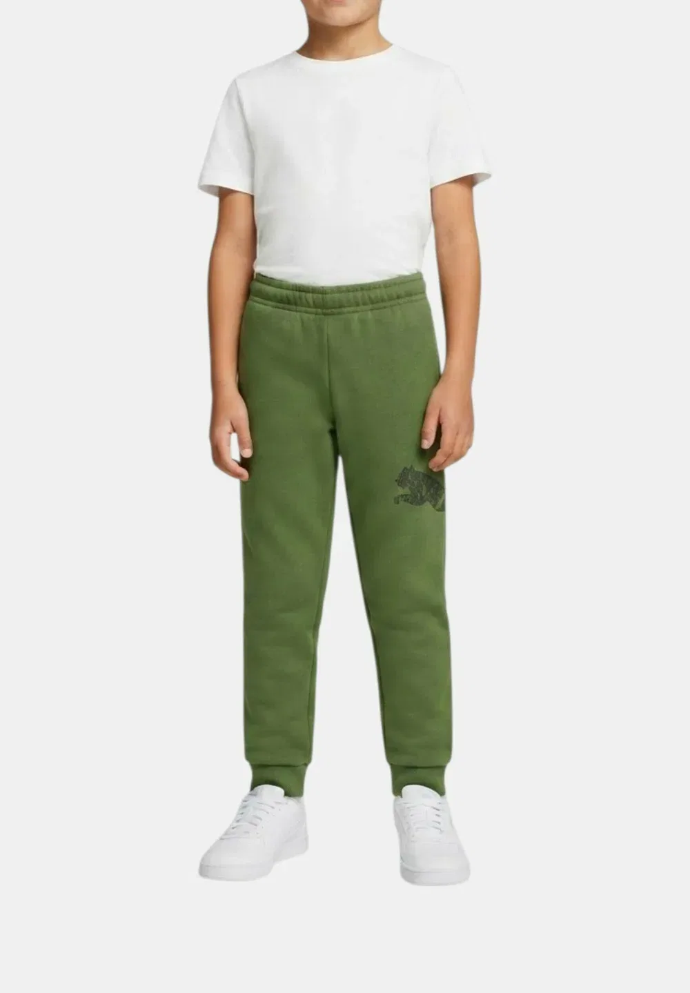 Брюки Pantalone ess grap pants tr col 68 - спортивные штаны Puma, Green